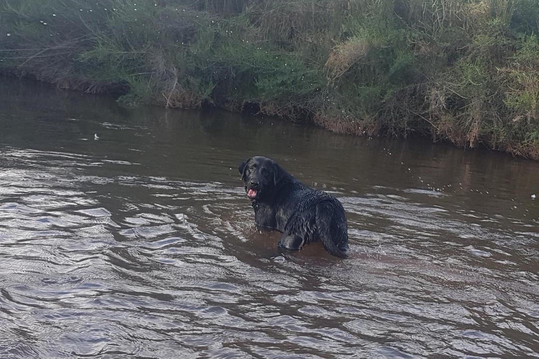 Photo of Others in Sabie