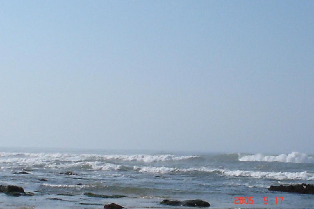 Photo of Others in Seafield