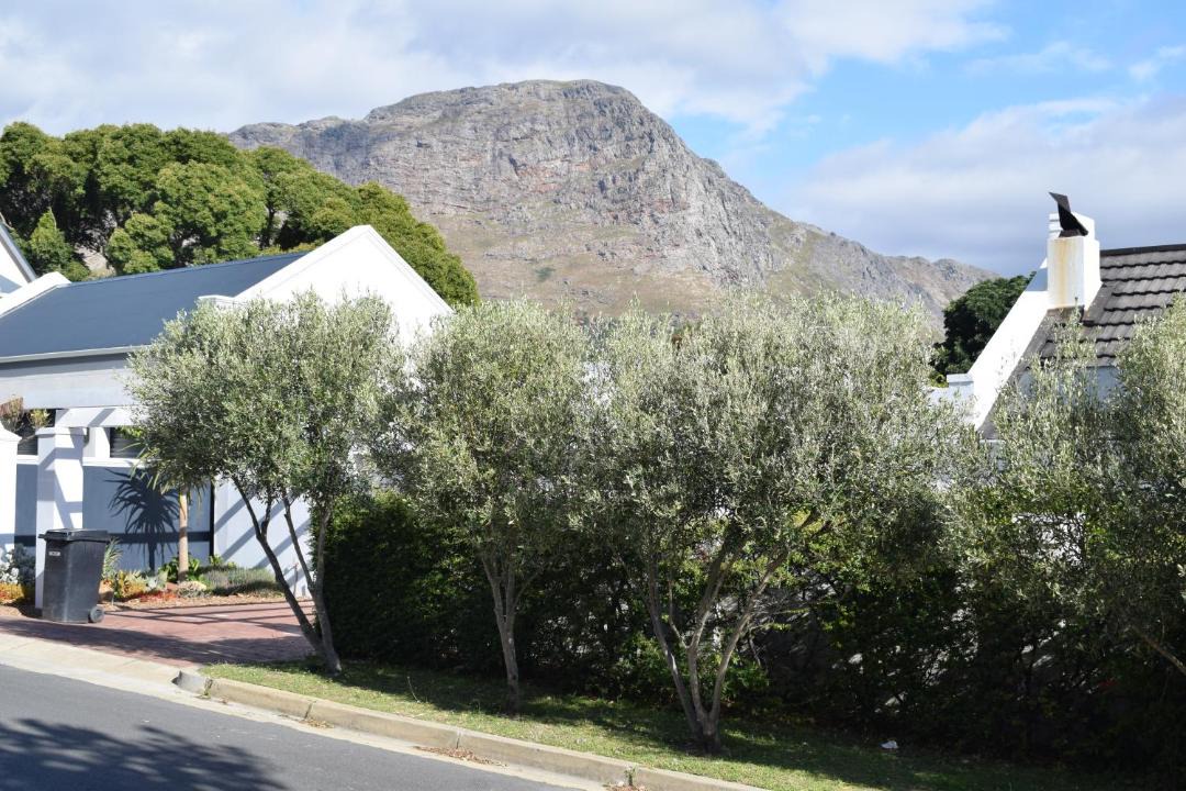 Photo of Others in Franschhoek