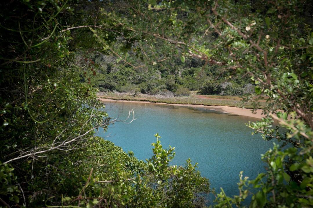 Photo of Others in Kouga