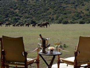 Photo of Others in Addo
