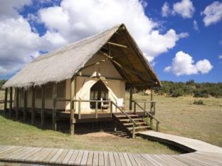 Photo of Others in Addo