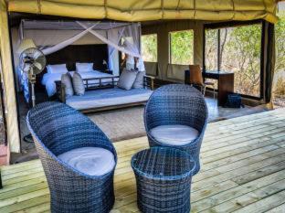 Photo of Others in Thorny Bush Game Reserve