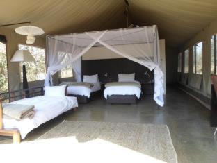Photo of Others in Thorny Bush Game Reserve