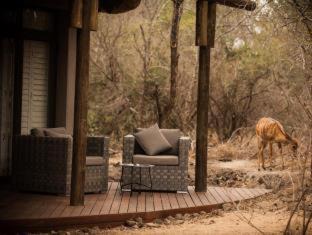 Photo of Others in Thorny Bush Game Reserve