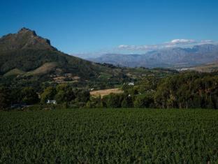 Photo of Others in Cape Winelands