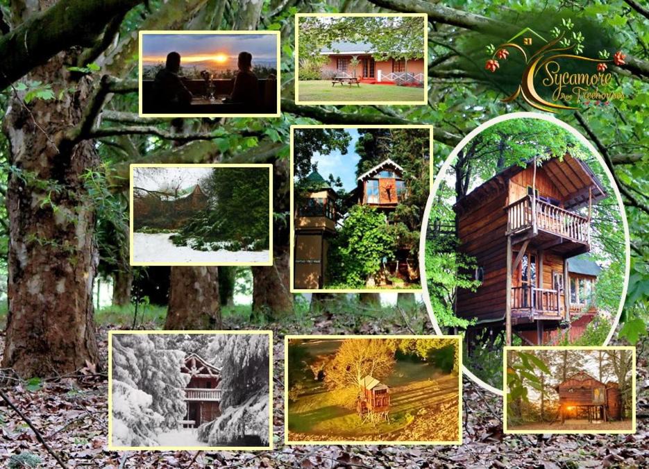 Photo of Others in Mooirivier