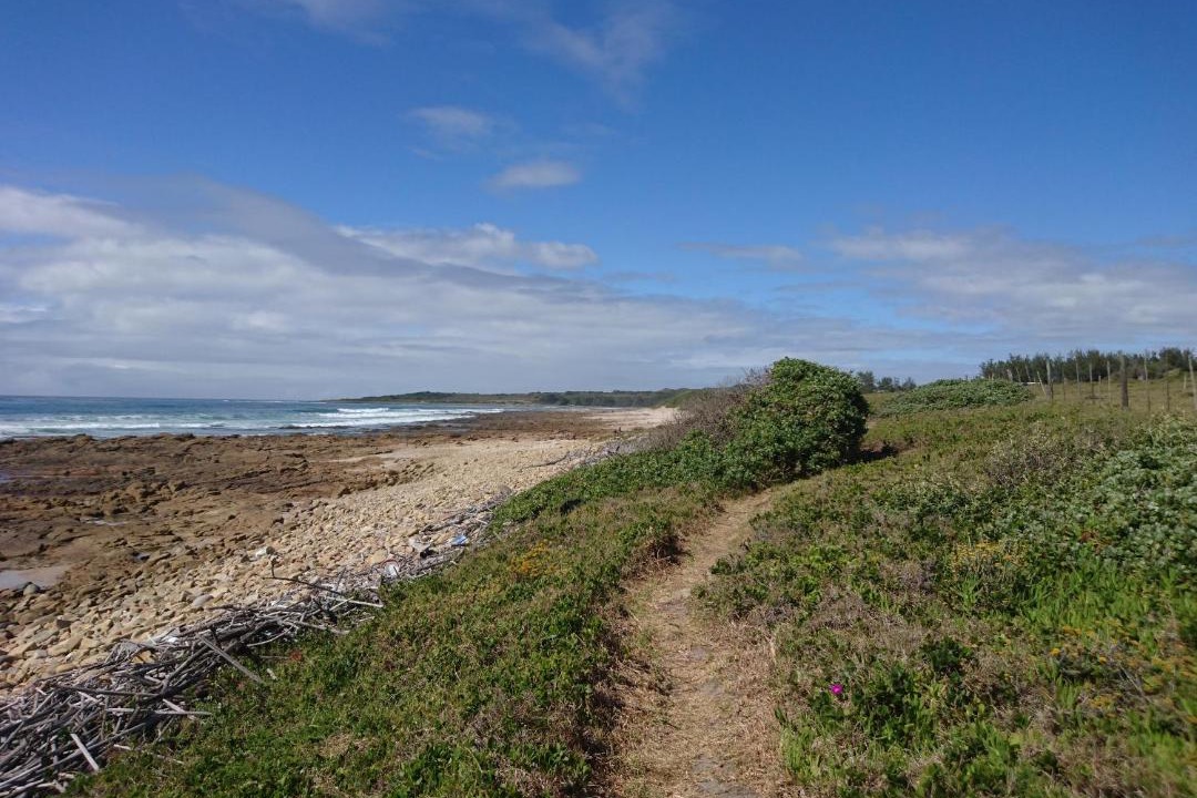 Photo of Others in Amatola Coastal