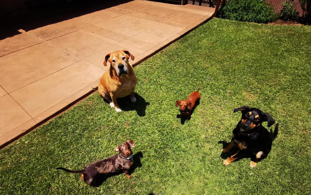 Photo of Others in Kloof