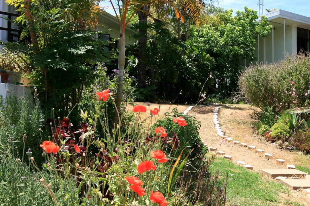 Photo of Others in Stellenbosch