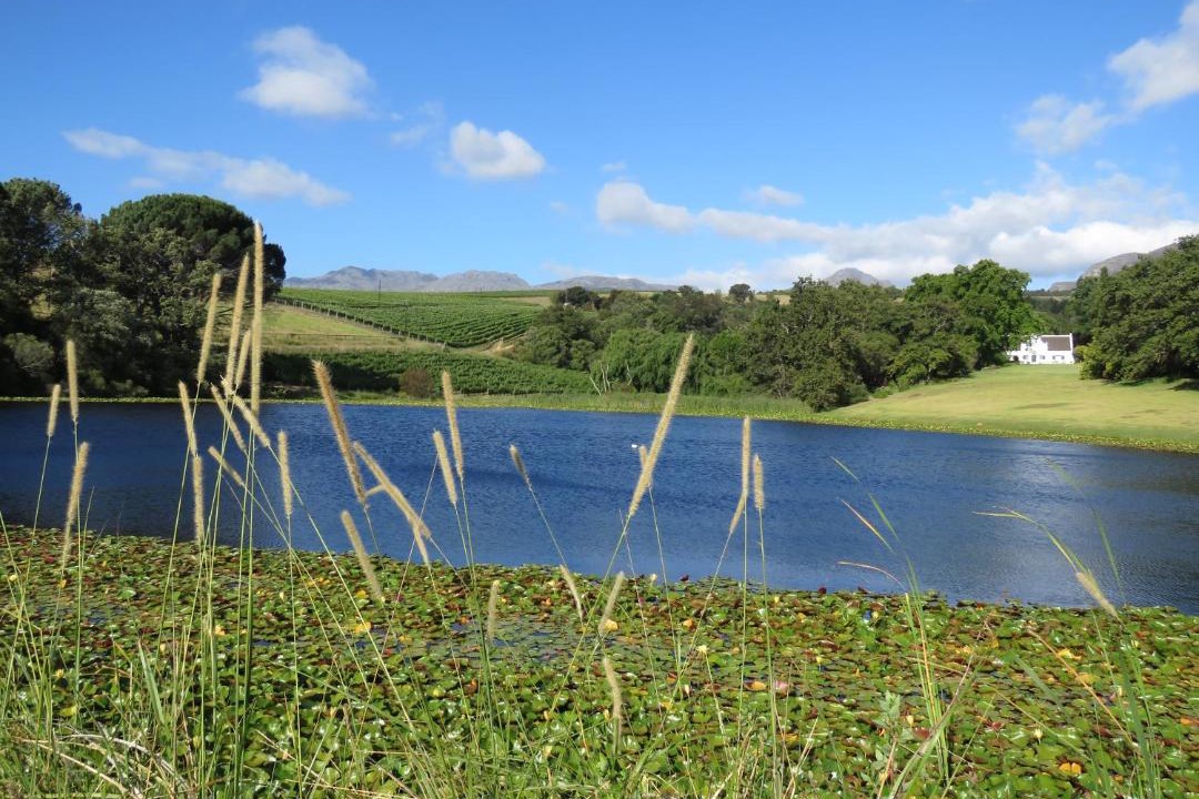 Photo of Others in Stellenbosch