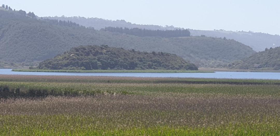 Photo of Others in Wilderness