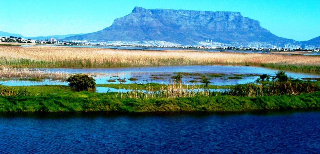 Photo of Others in Flamingo Vlei