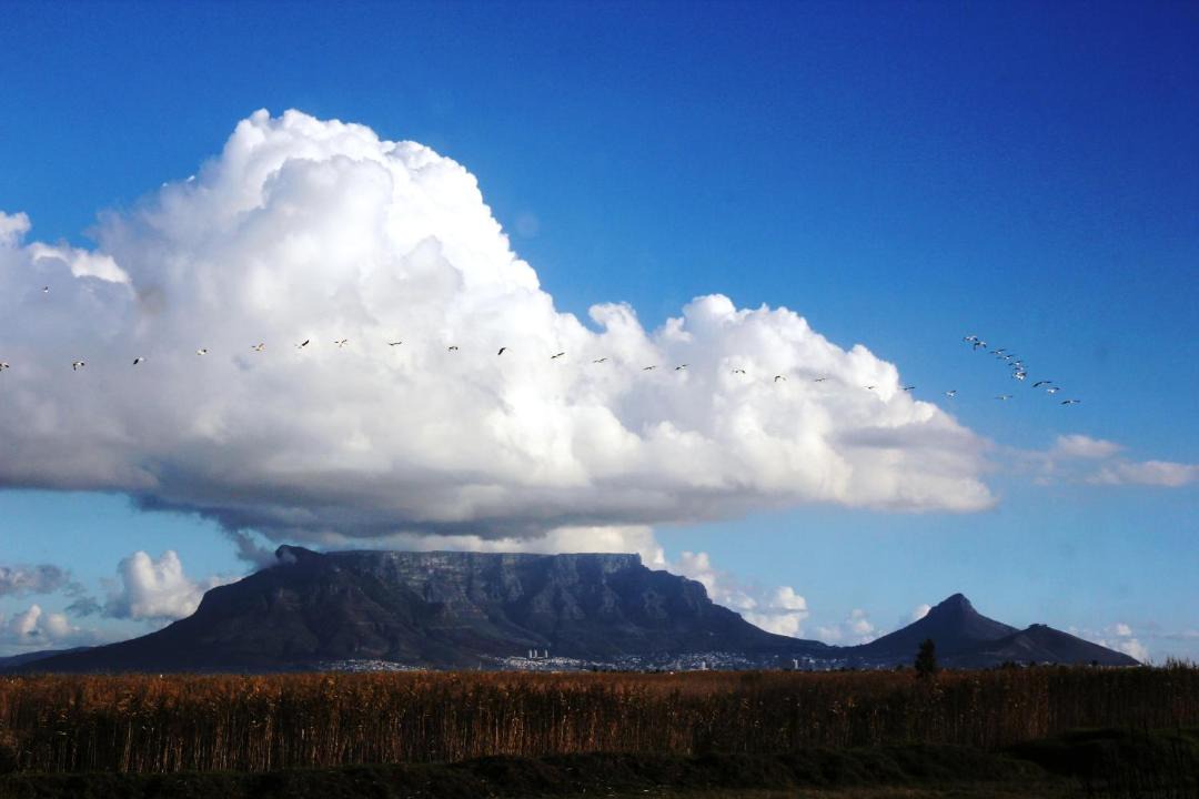 Photo of Others in Flamingo Vlei