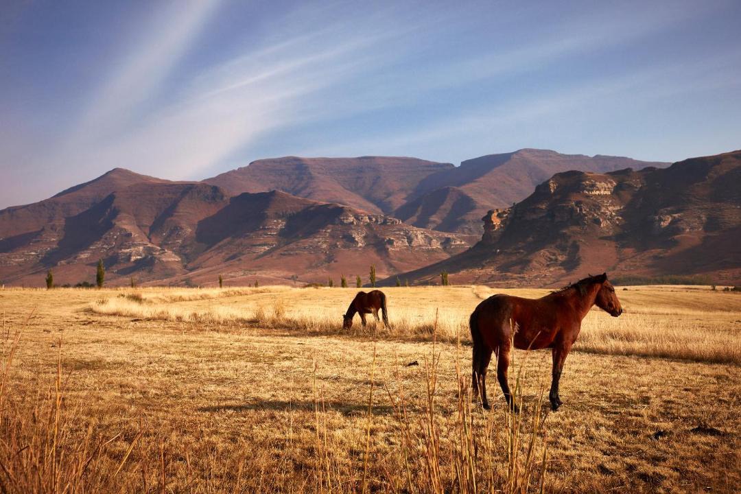 Photo of Others in Clarens