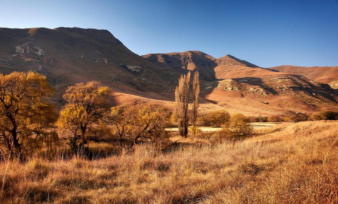 Photo of Others in Clarens