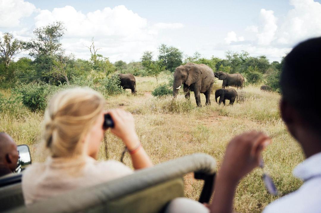 Photo of Others in Kruger National Park