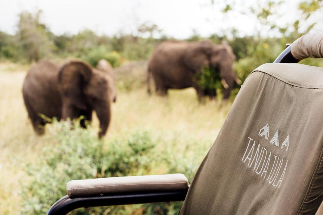 Photo of Others in Kruger National Park