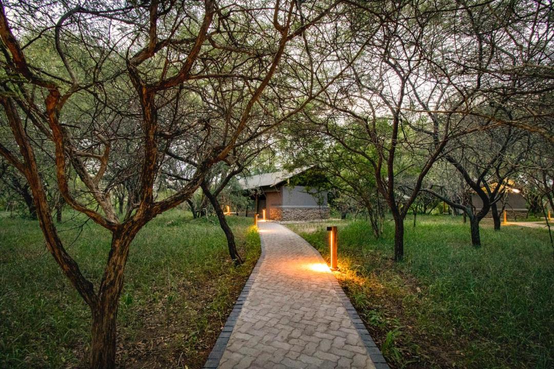 Photo of Others in Thorny Bush Game Reserve