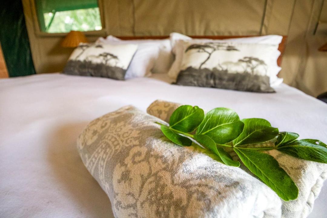 Photo of Bedroom in Thorny Bush Game Reserve