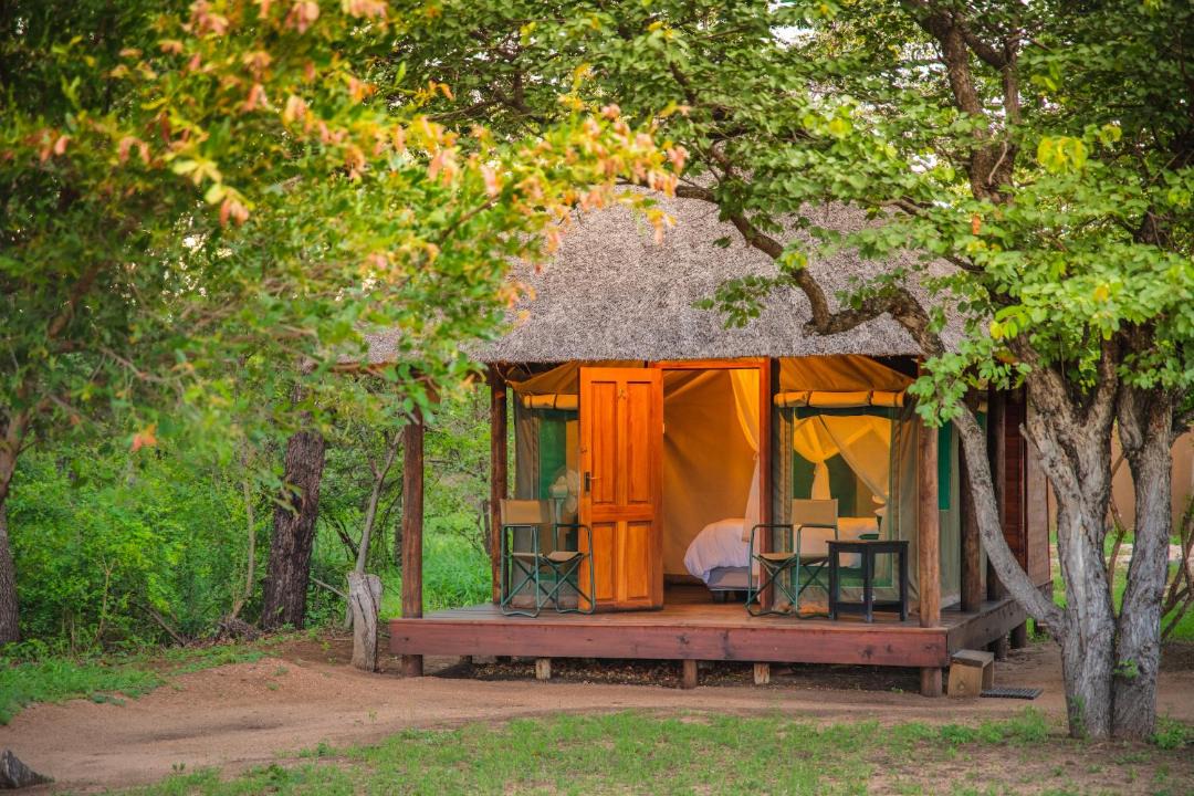 Photo of Others in Thorny Bush Game Reserve