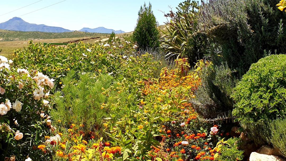 Photo of Others in Clarens