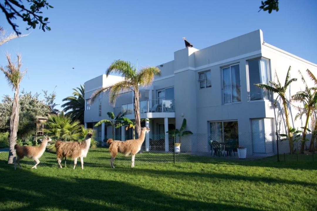 Photo of Others in Sunset Beach