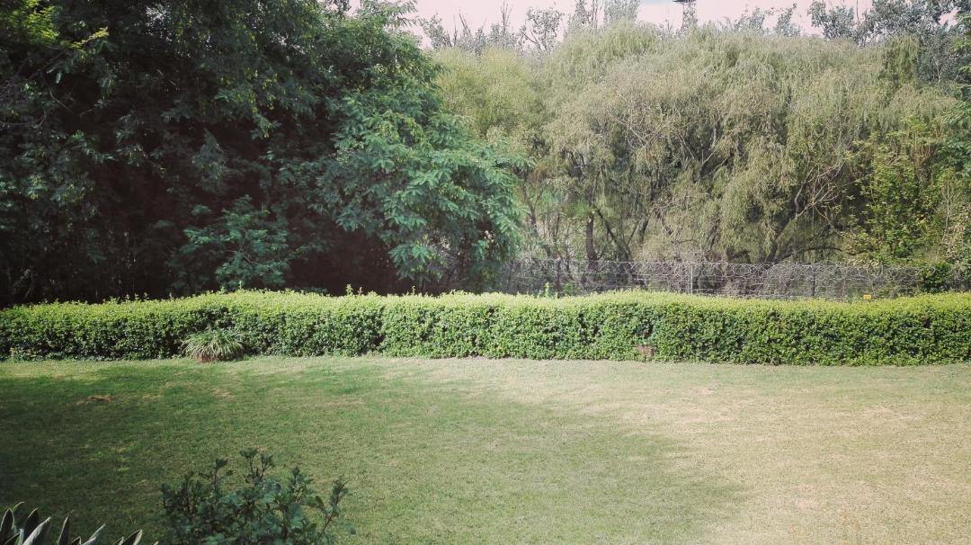 Photo of Others in Estcourt