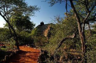 Photo of Others in Madikwe Game Reserve