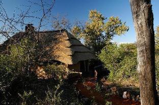 Photo of Others in Madikwe Game Reserve