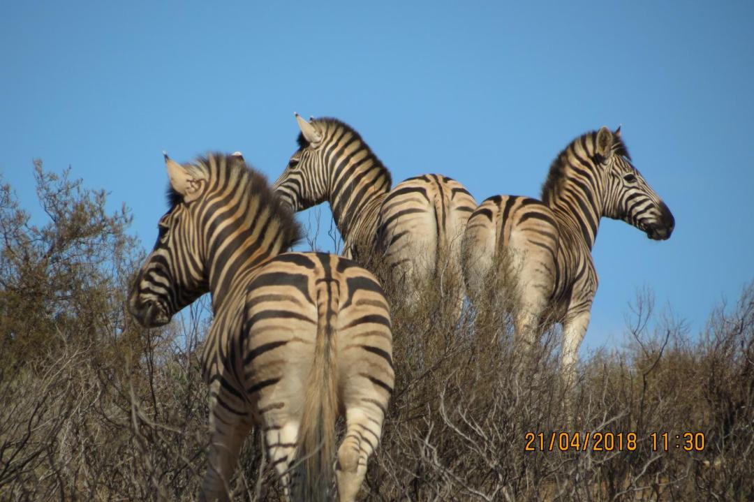 Photo of Others in Breede River Valley