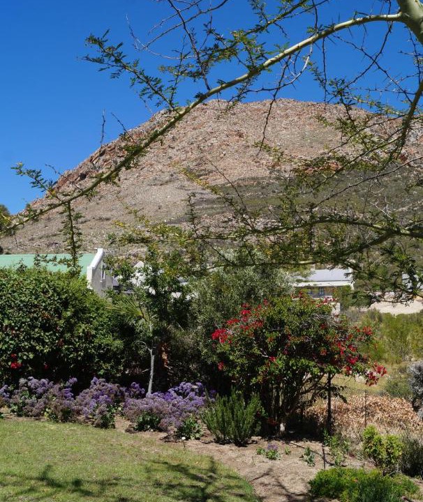Photo of Others in Montagu