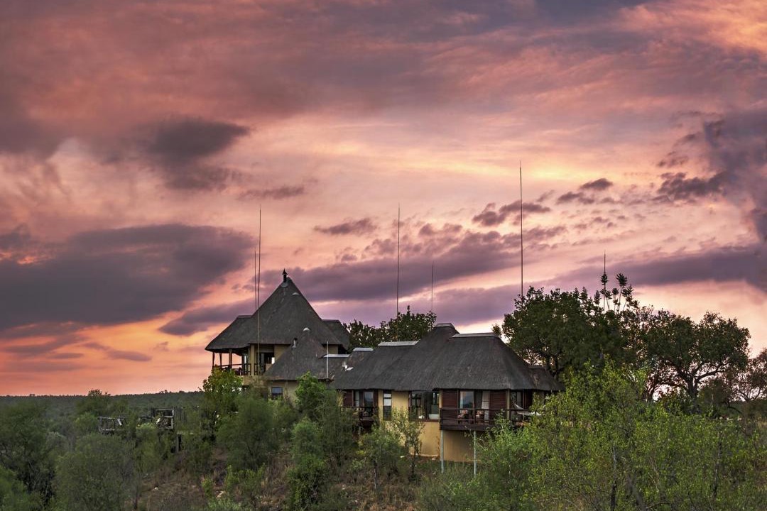 Photo of Others in Thorny Bush Game Reserve