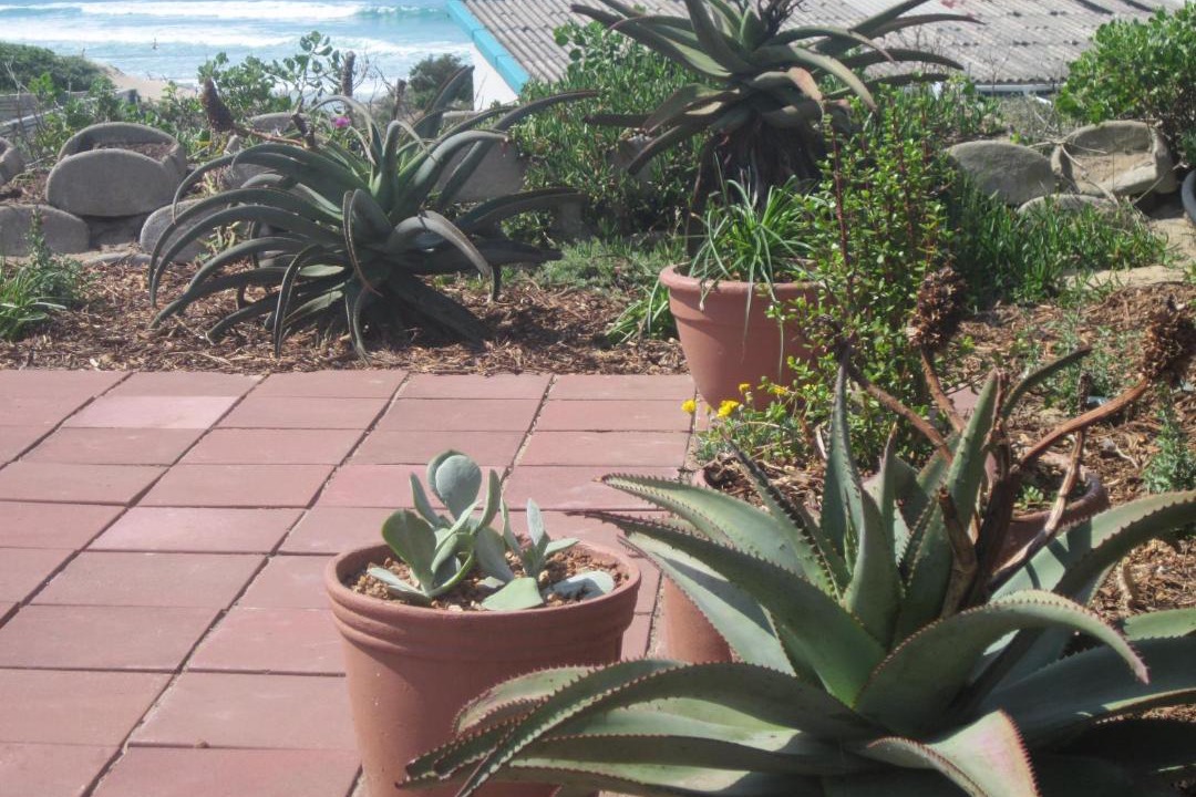 Photo of Patio Balcony in Cape Saint Francis