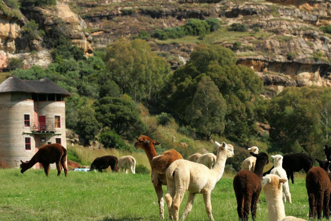 Photo of Others in Clarens