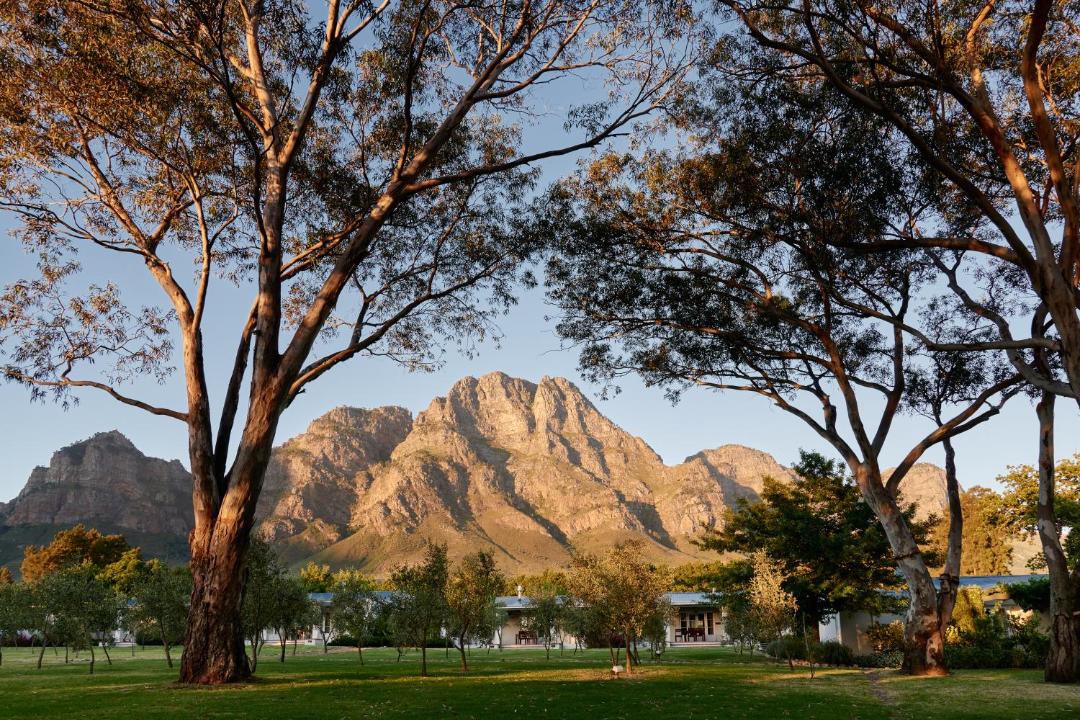 Photo of Others in Cape Winelands