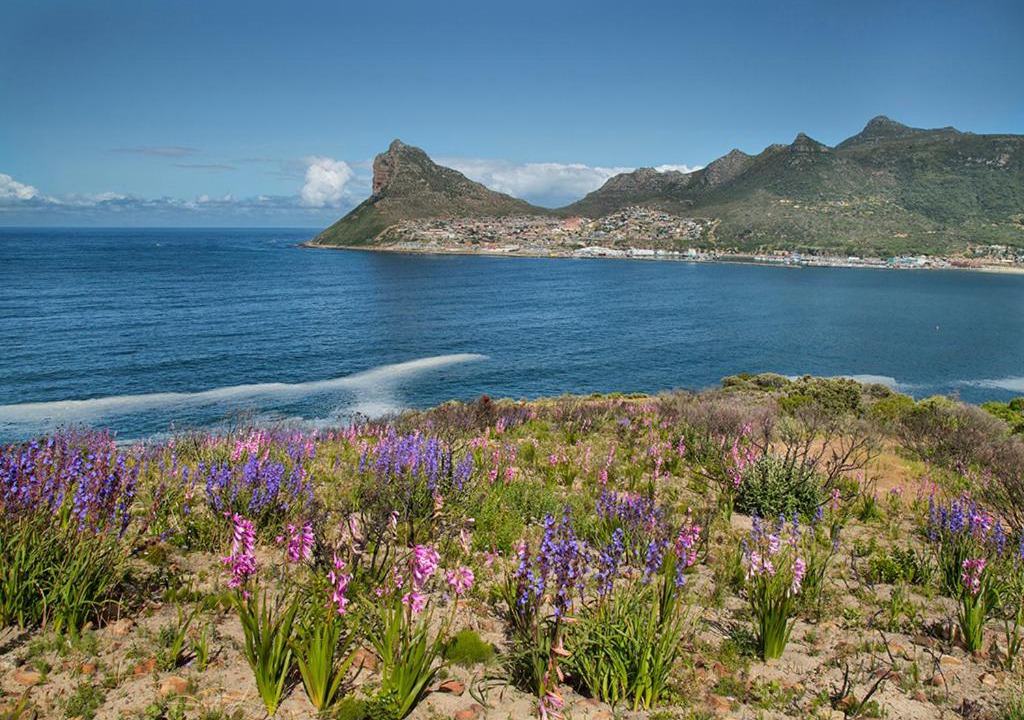Photo of Others in Hout Bay
