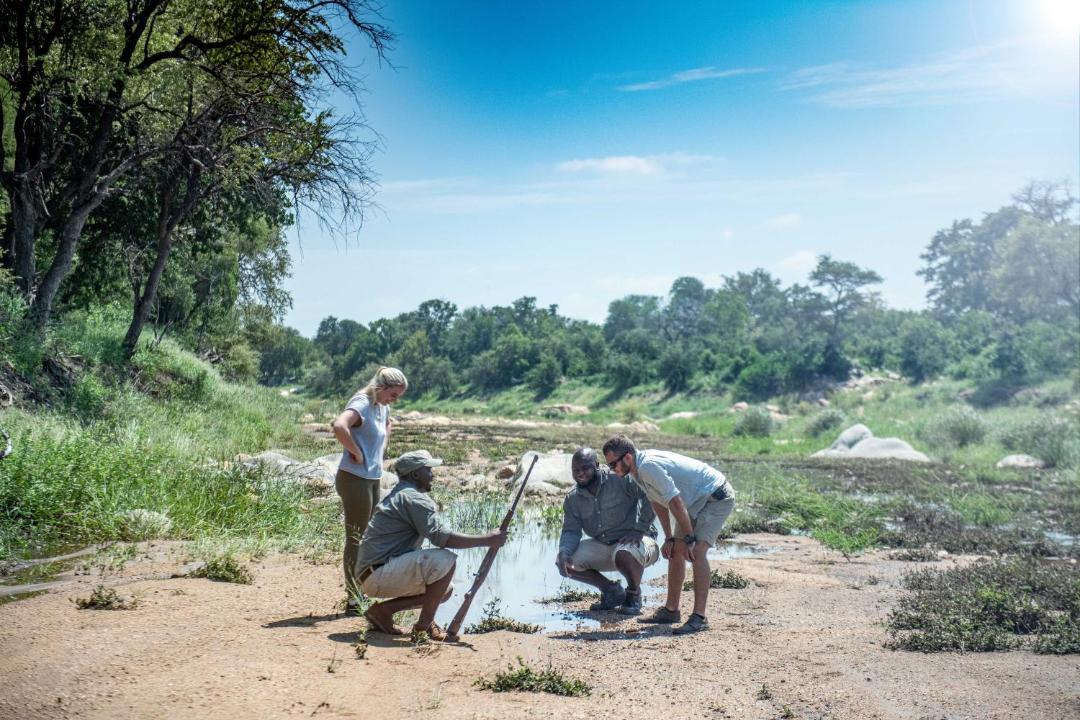 Photo of Others in Kruger National Park