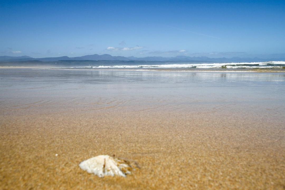 Photo of Others in Plettenberg Bay