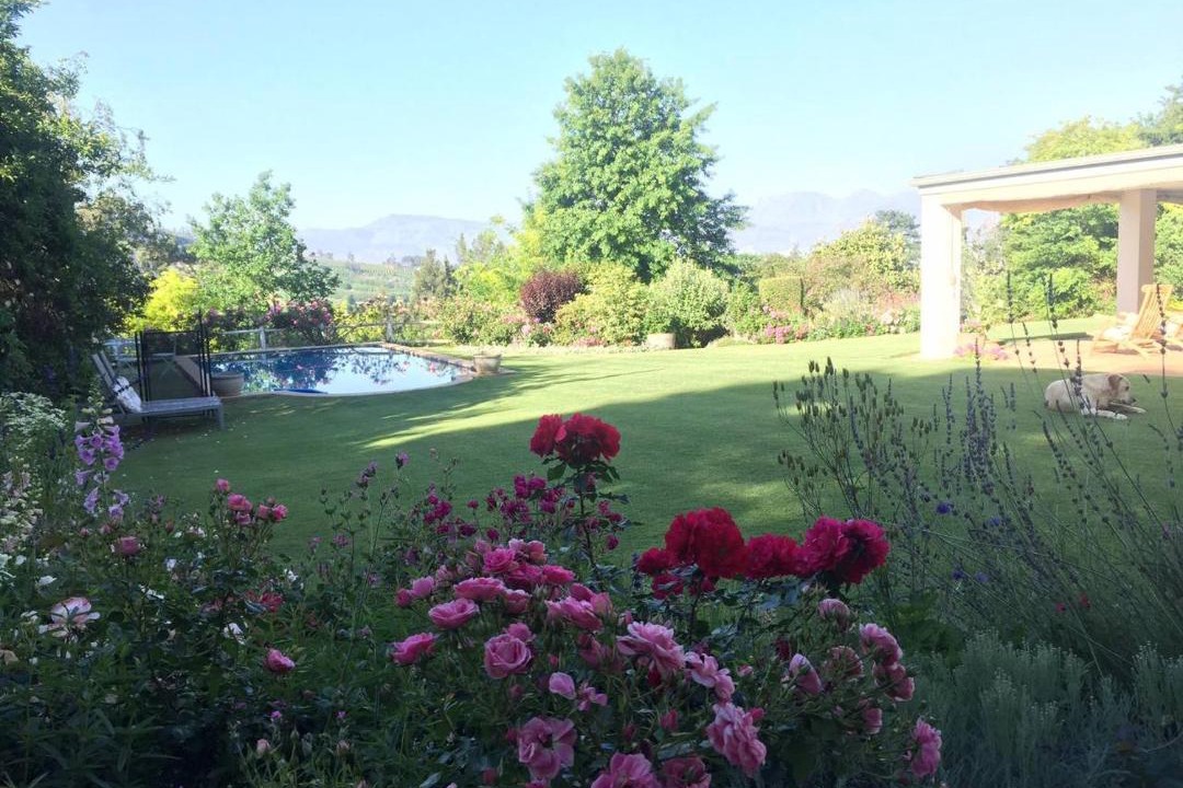 Photo of Others in Cape Winelands