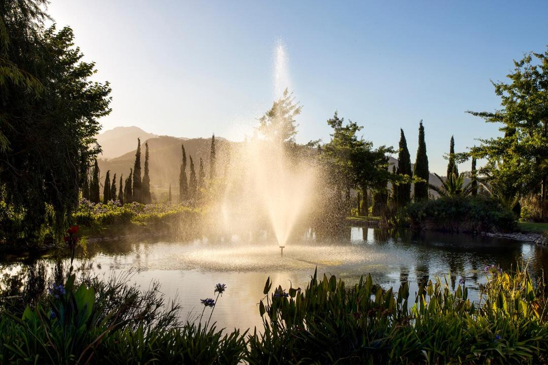 Photo of Others in Franschhoek
