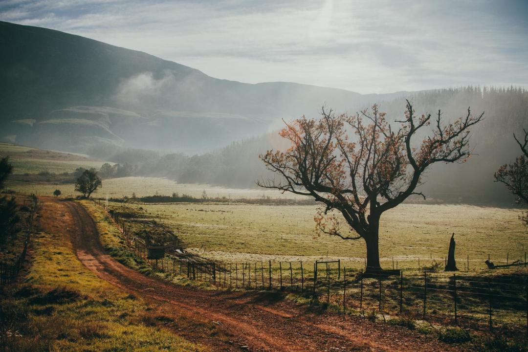 Photo of Others in Swellendam