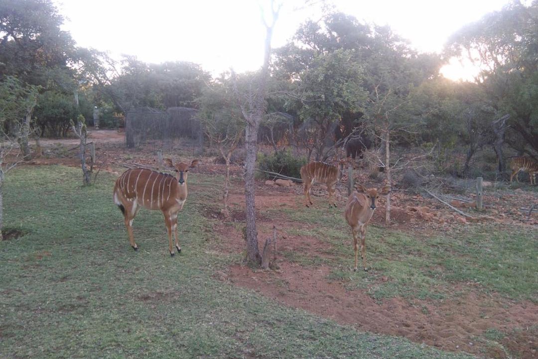 Photo of Others in Mooinooi