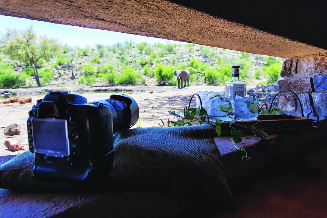 Photo of Others in Madikwe Game Reserve