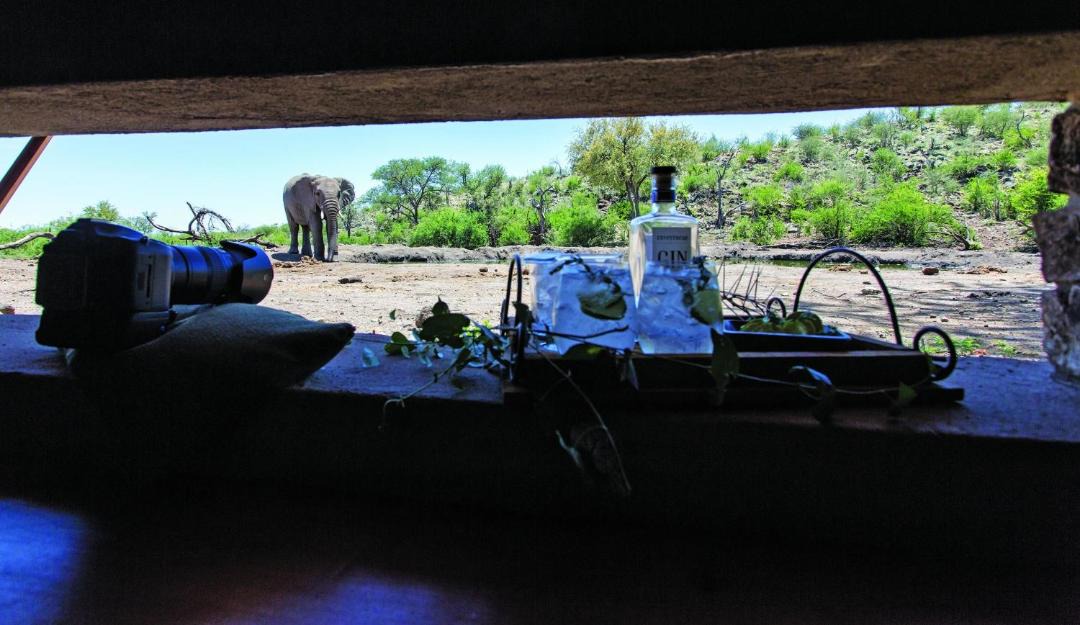 Photo of Others in Madikwe Game Reserve