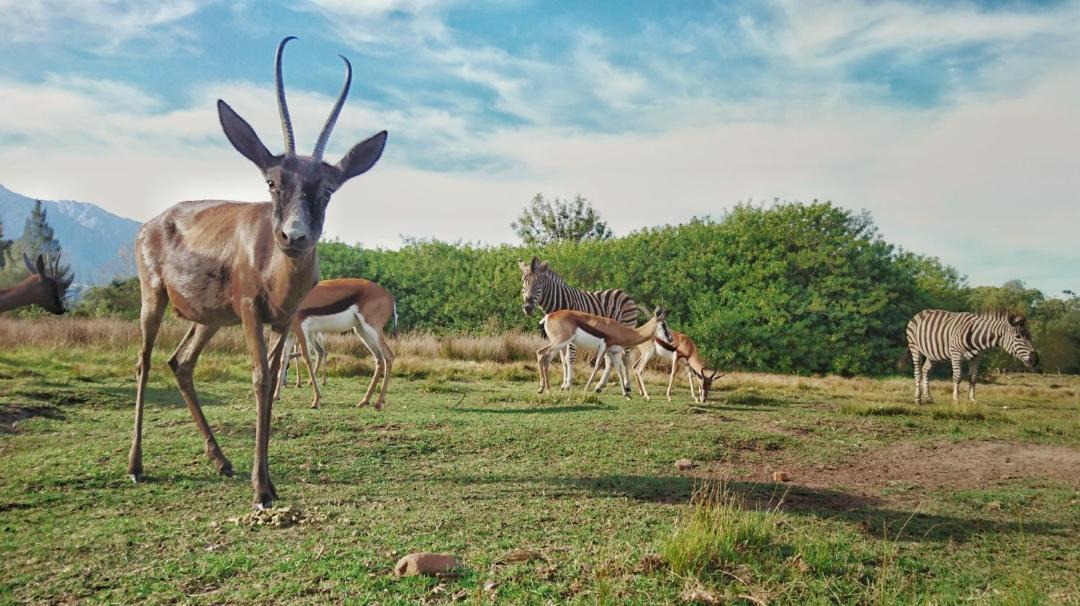Photo of Others in Swellendam