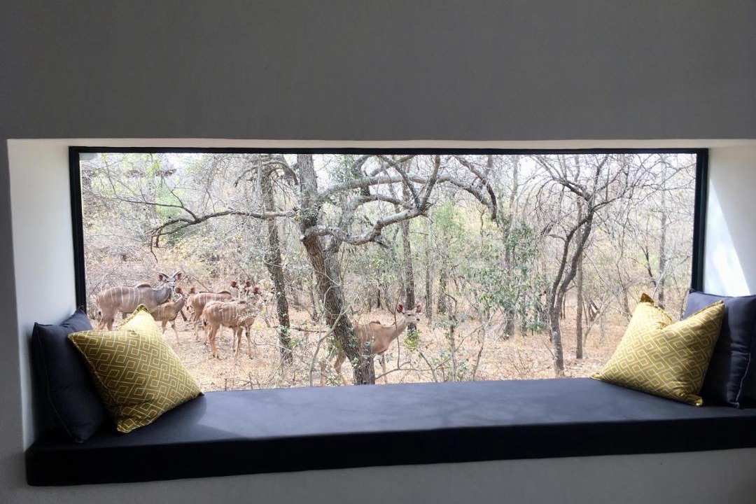 Photo of Others in Marloth Park