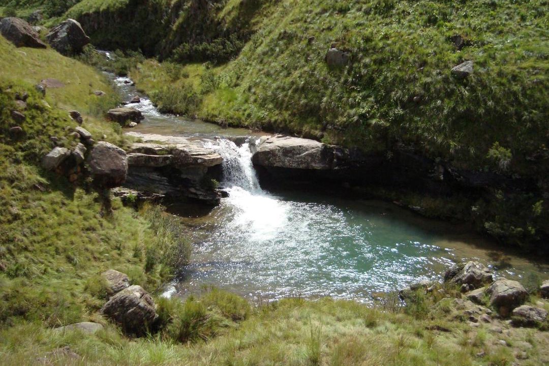 Photo of Others in Drakensberg Gardens