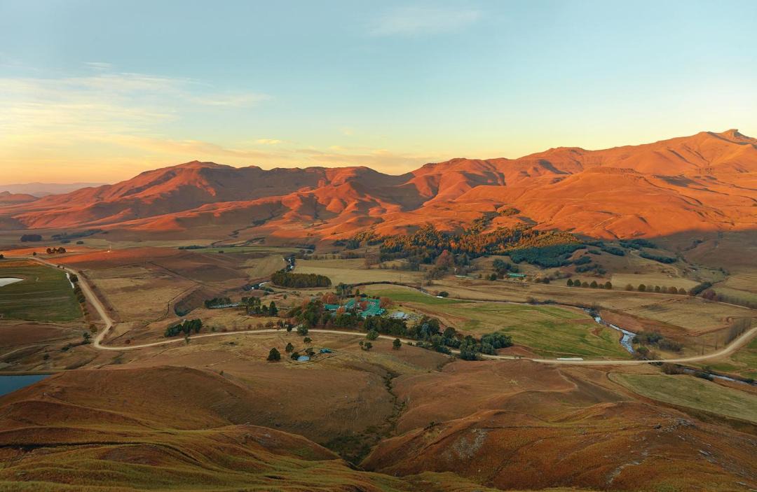 Photo of Others in Drakensberg Gardens