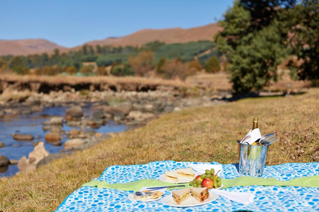 Photo of Others in Drakensberg Gardens